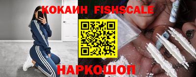 спайс Кингисепп