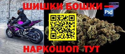спайс Кингисепп