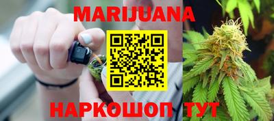 спайс Кингисепп