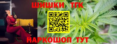 спайс Кингисепп