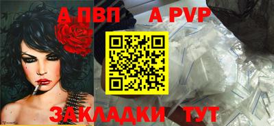 спайс Кингисепп