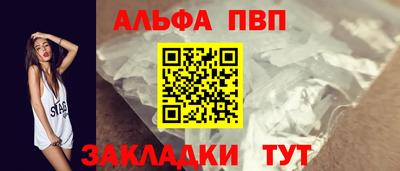 спайс Кингисепп