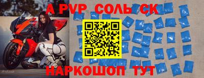 спайс Кингисепп
