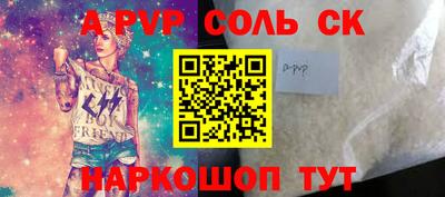 спайс Кингисепп