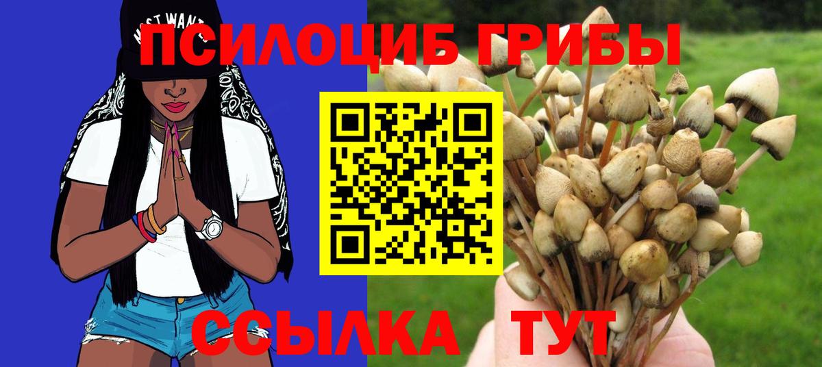 Псилоцибиновые грибы Cubensis Бузулук